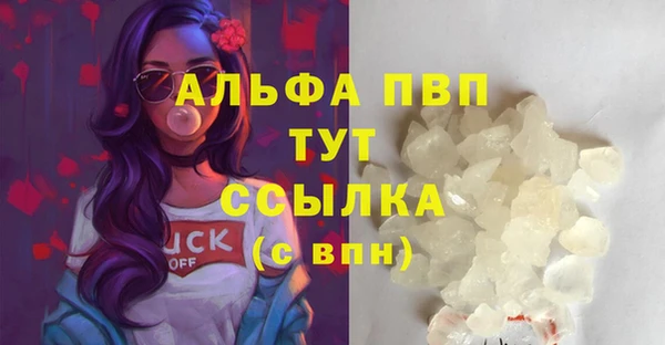 индика Магас