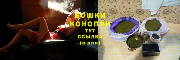 индика Магас