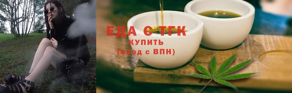 индика Магас