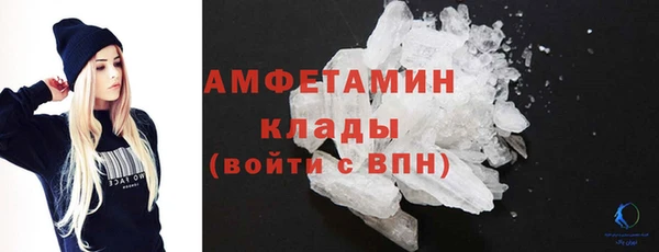 индика Магас