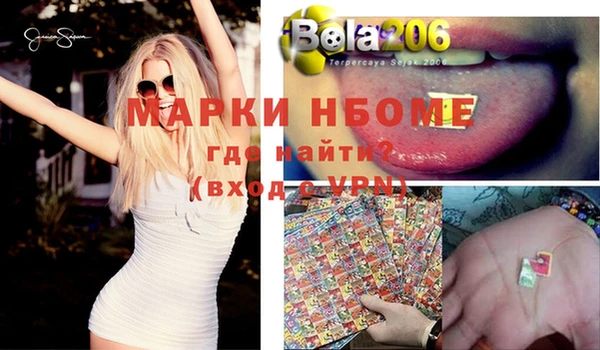 индика Магас