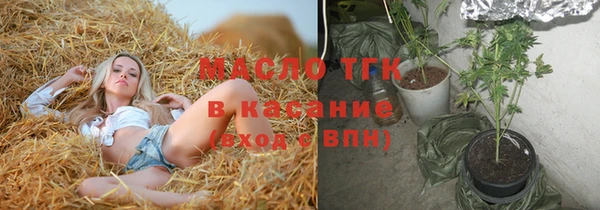 индика Магас