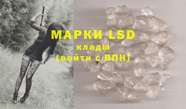 индика Магас