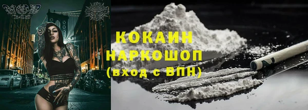 индика Магас