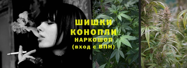индика Магас