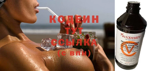 индика Магас