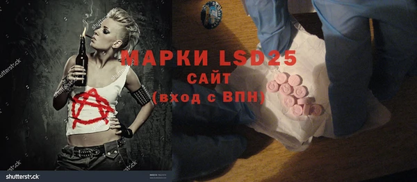 индика Магас