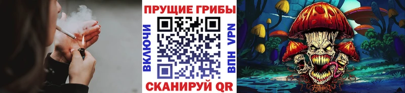 где продают   Ревда  Псилоцибиновые грибы мицелий 