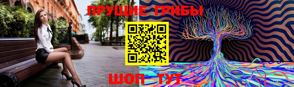 Псилоцибиновые грибы мухоморы  Галлюциногенные грибы ЛСД  наркошоп  Вход с VPN  Ревда 