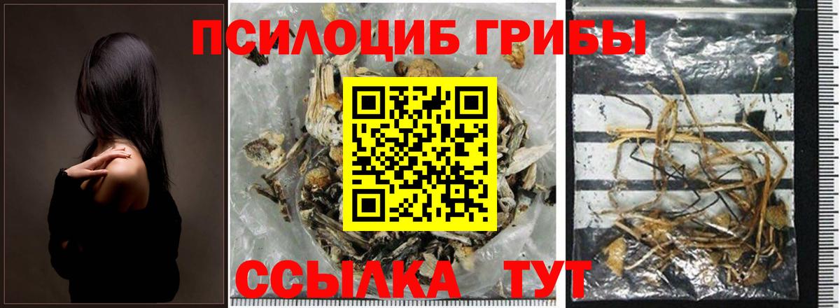 МДМА  Кокаин  A-PVP СК кристаллы  Сколько стоит  Ревда  Вход с VPN  Экстази  ГАШИШ  Меф  