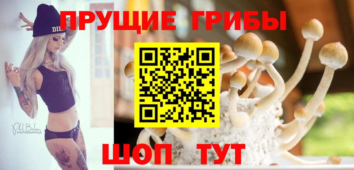 Псилоцибиновые грибы Ревда